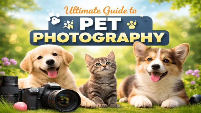 Pet photography guide featuring a dog, cat, and professional camera setup