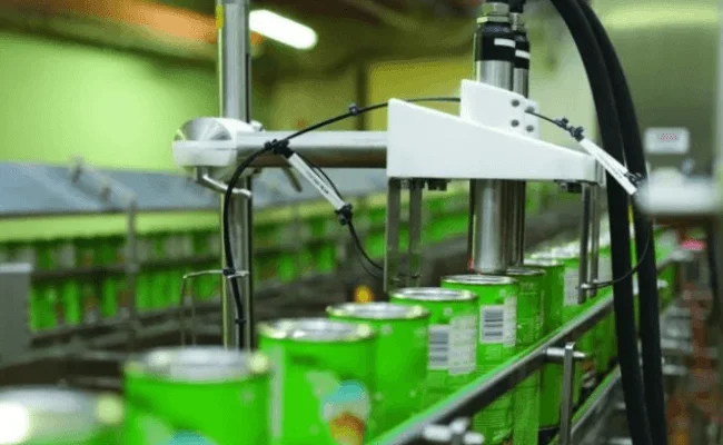 Food and Beverage Industry