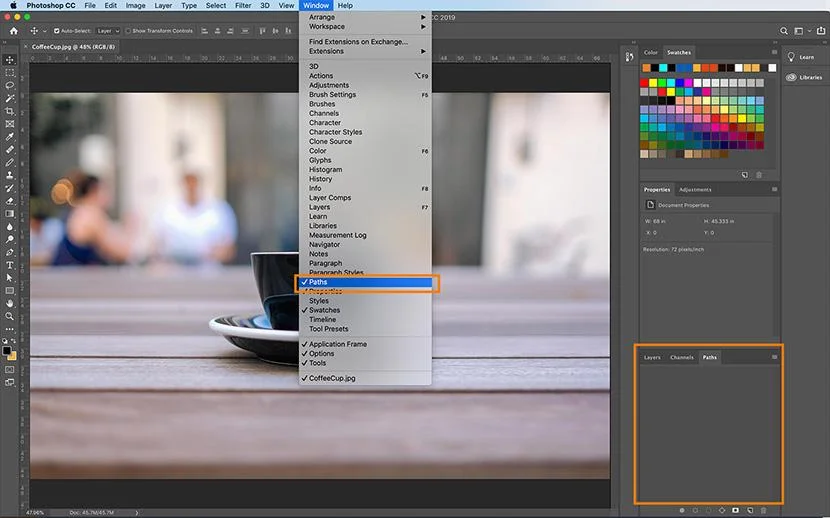 Paths tab in the Layers Panel