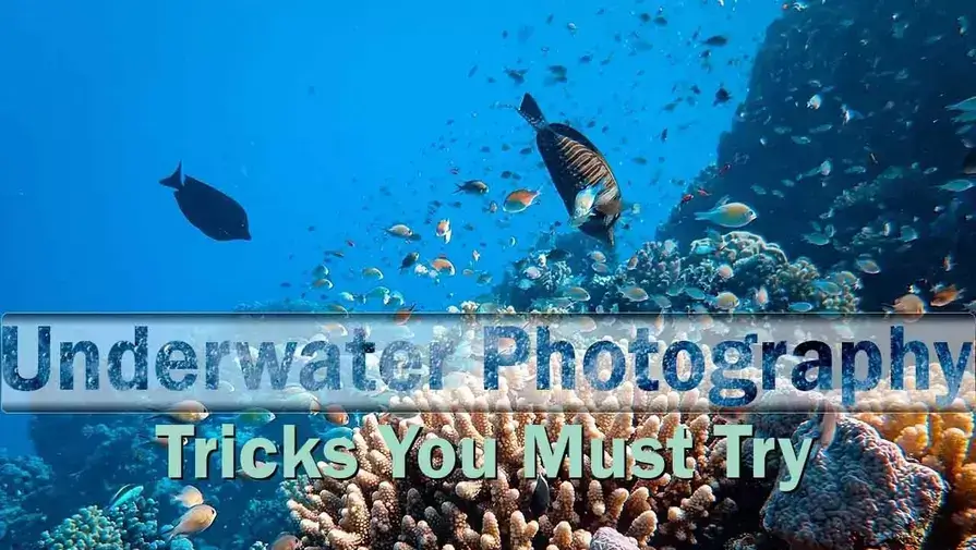 underwater photography