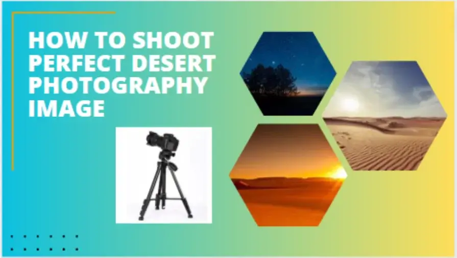 How To Shoot Perfect Desert Photography Image