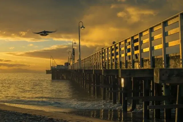 Take Photos in the Golden Hour, Landscape Photography
