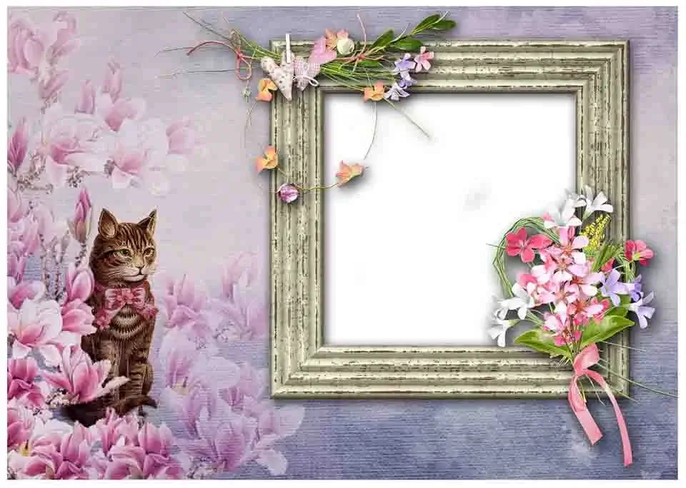 cat and bird frame
