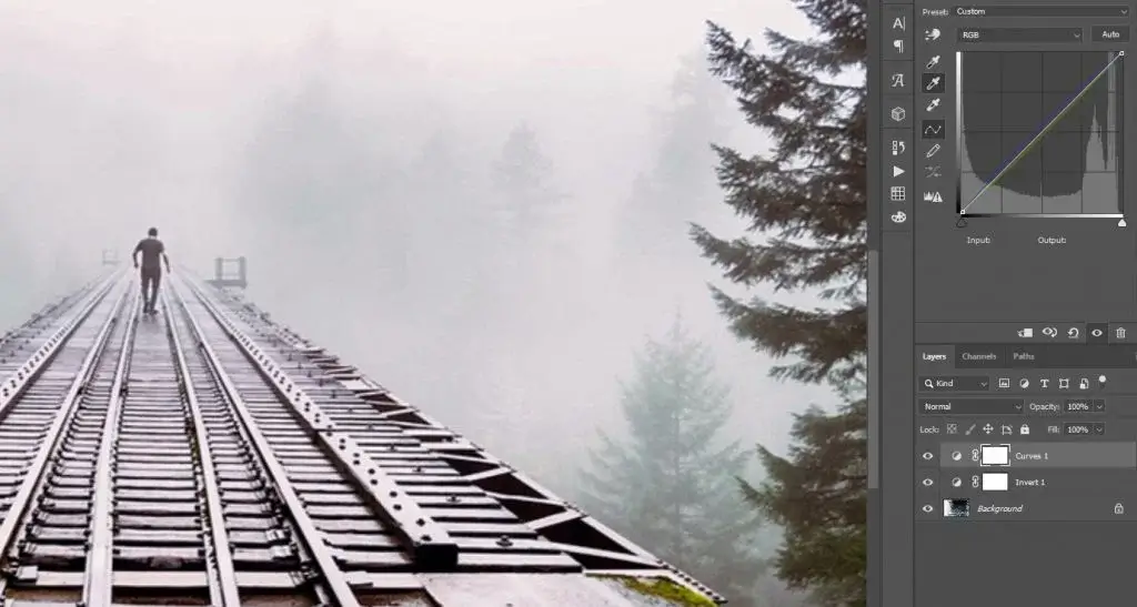 foggy woods and rail lines with a human being