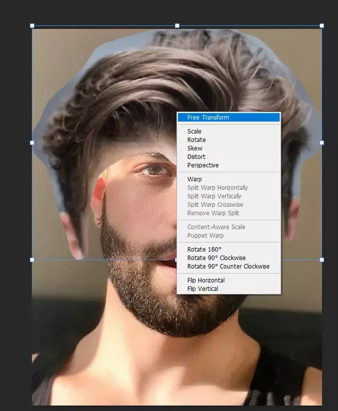free transform of a hair