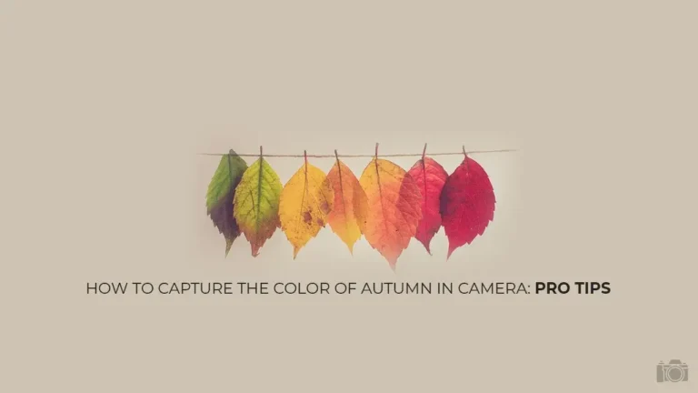 how to capture the color of autumn in camera