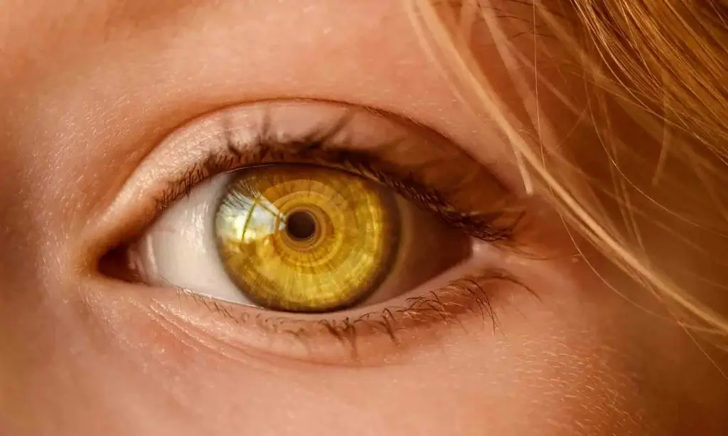 keep an eye on their communication