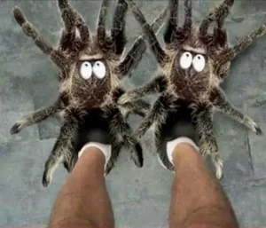 octopus sculpture strange shoe design