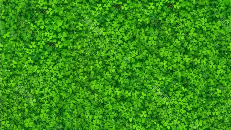 organic textures