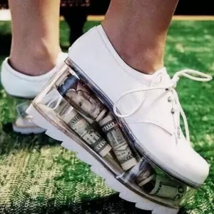 dollar money decorated fashion shoe