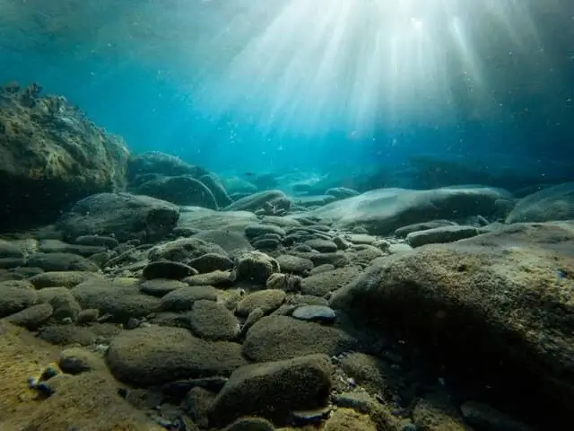 Capture Better Shots Using Natural Light