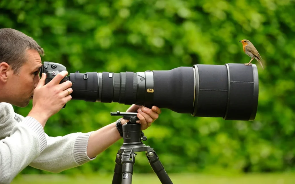 Use A Long Lens to Capture an Effective Flower Shot