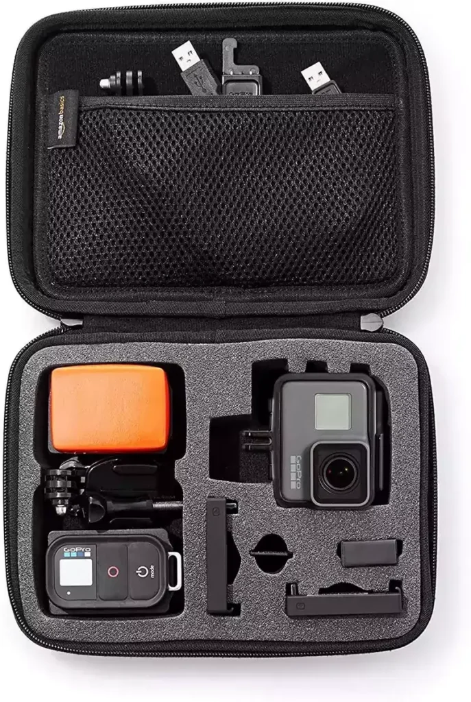 Amazon Basics Small Carrying Case