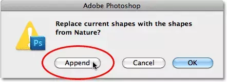append option photoshop, snowflake shape border