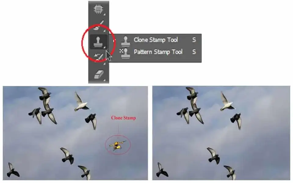 Clone Stamp Tool