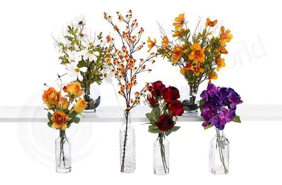 flower background removing after flower background removing