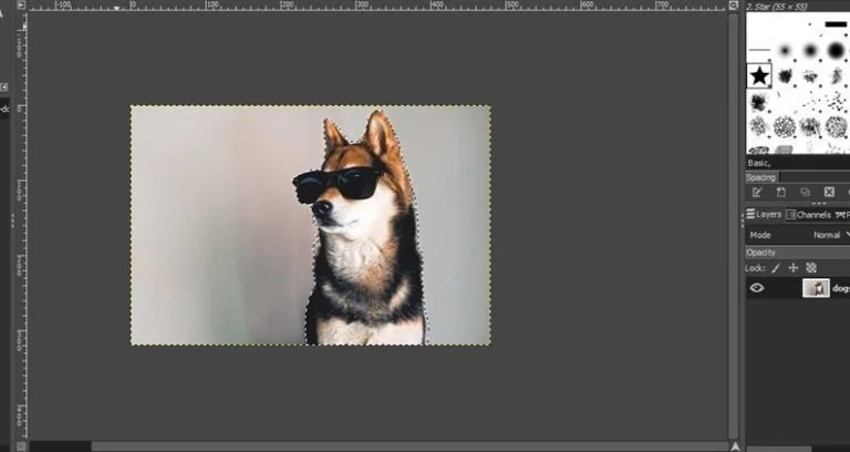 use gimp to remove background