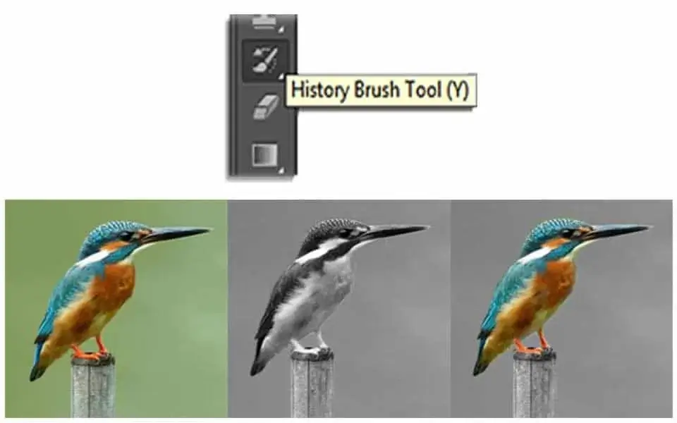 History Brush Tool