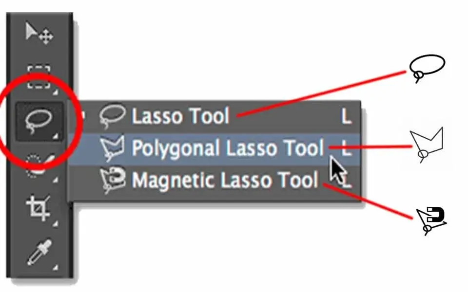 lasso tools in adobe photoshop