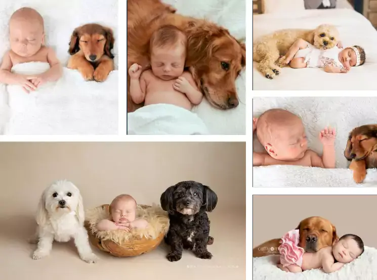 newborn photography with pet
