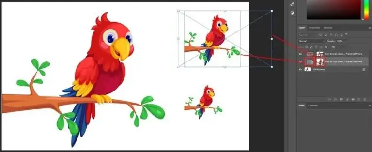 photoshop frame resizing frames and images