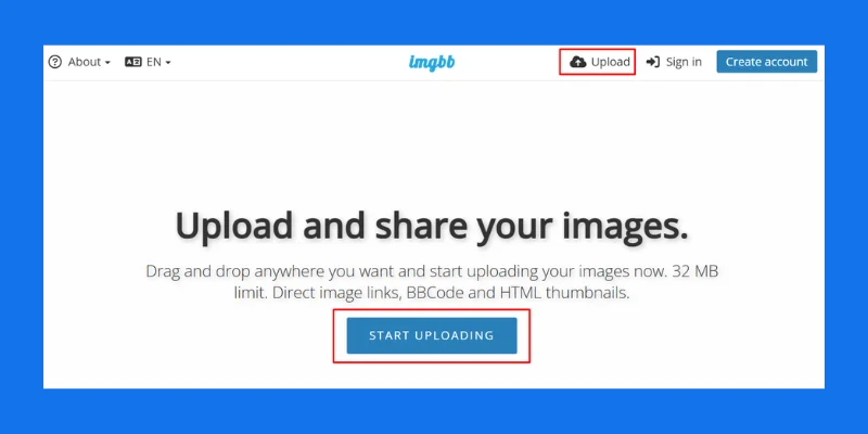 access the imgbb website