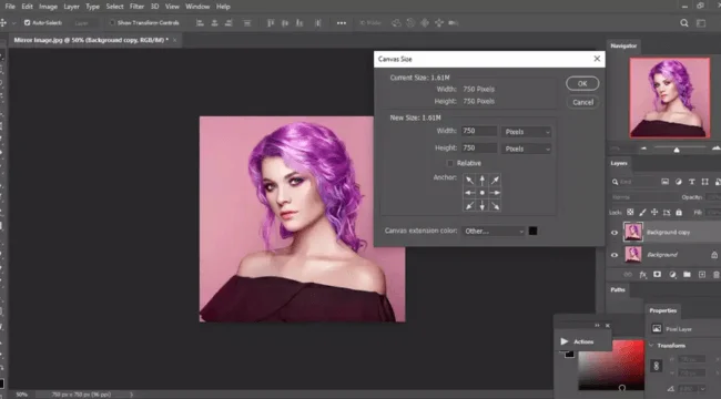 canvas size window