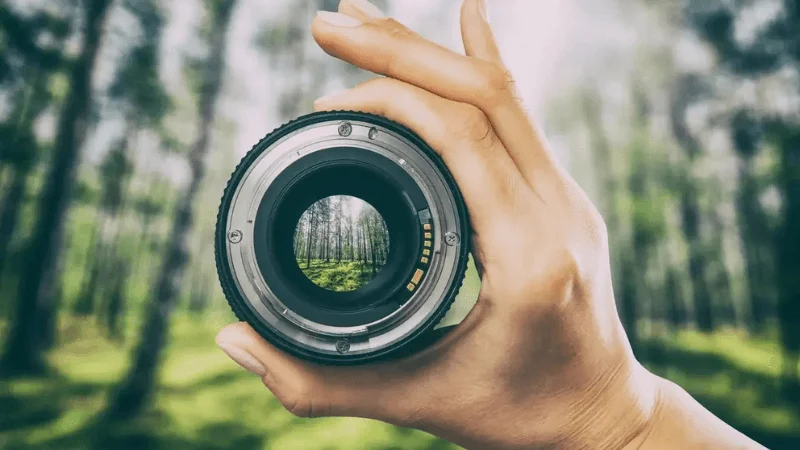 different ways to show emphasis in photography
