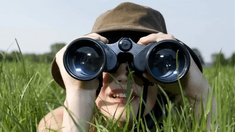observing the situation carefully