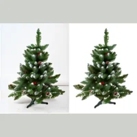 Christmas thumbnail photo