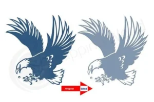 Raster vector conversion sample