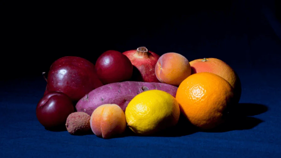 Krista Van Der Niet Photography, Still Life Photographers