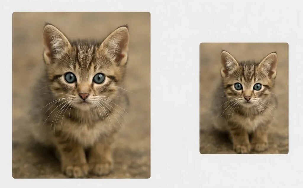 image resizing and format conversions