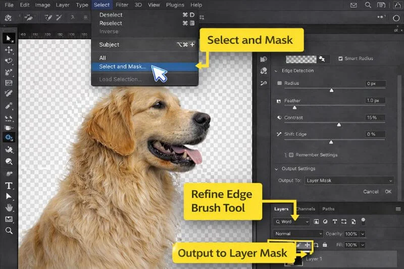 Refining hair edges using Select and Mask in Photoshop