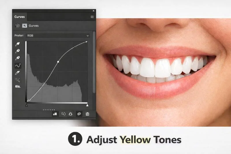 Curves adjustment layer lifting midtones for natural teeth whitening in Photoshop