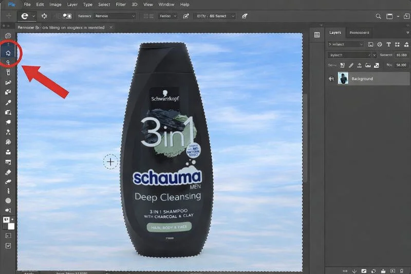 Using Quick Selection Tool in Photoshop to select the background