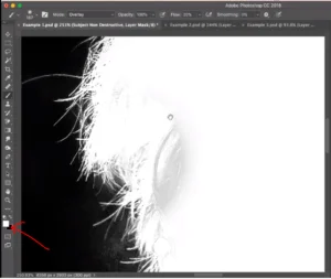 Masking the Image