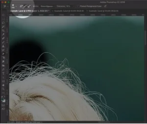 Sampling Panel Photoshop