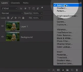  Solid Color Adjustment Layer