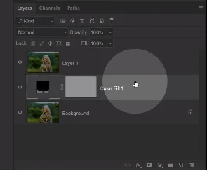 Solid Color Adjustment, Remove Background in Photoshop