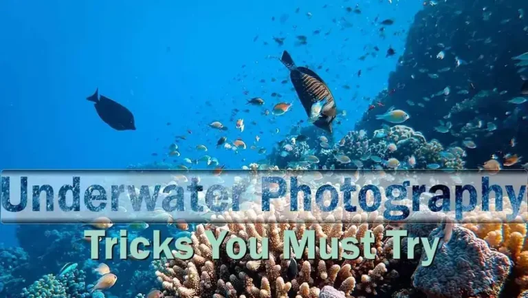 underwater photography
