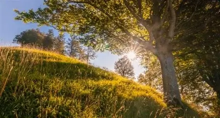landscape photography examples