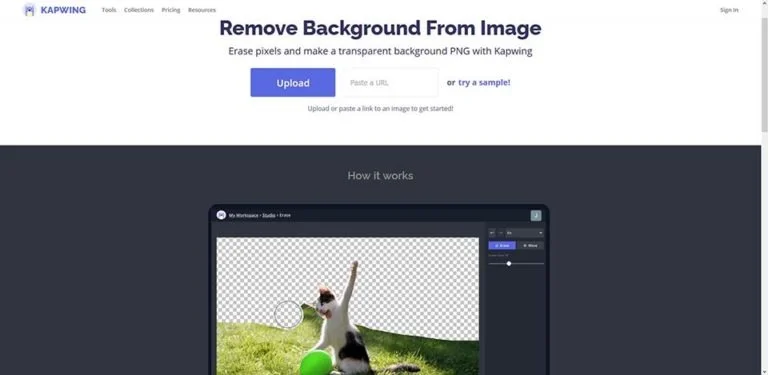 Kapwing, background remove tool