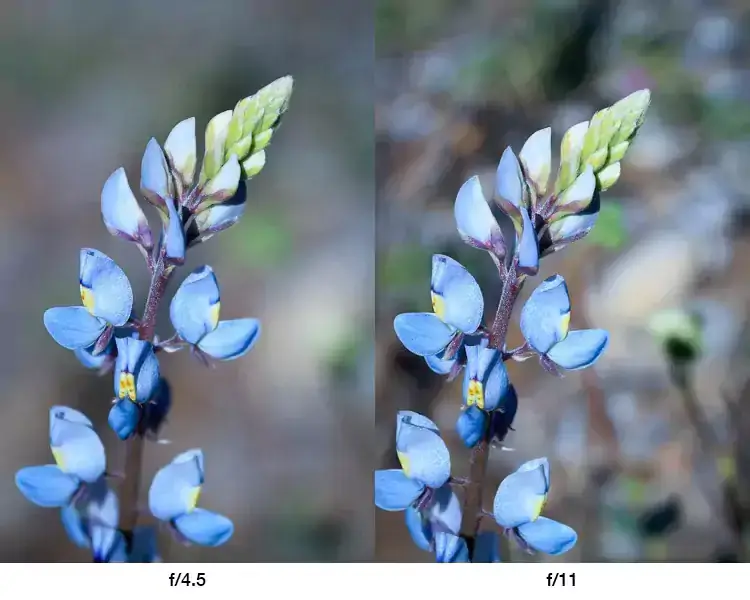 large aperture vs small aperture