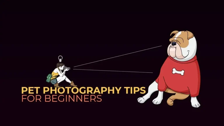 pet photography tips