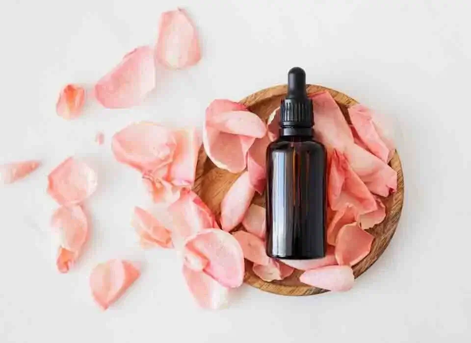 present reliable look, professional photo editors' impact