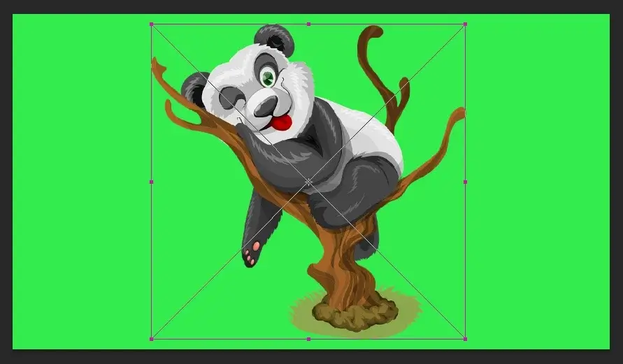 resize the collage images for matching