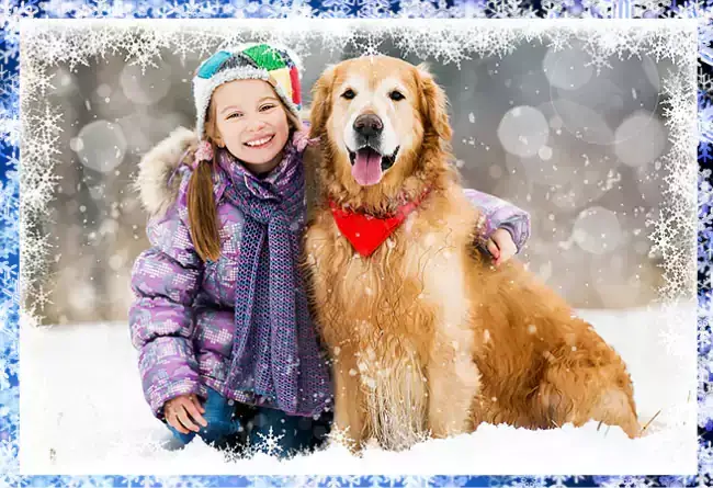 snowflake shape border frame