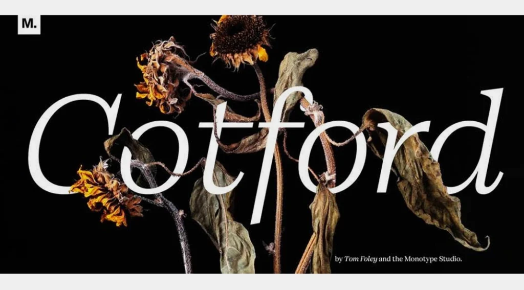 best fonts for designers