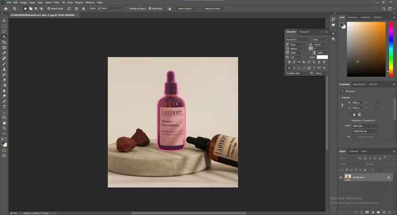 Select with Quick Selection Tool